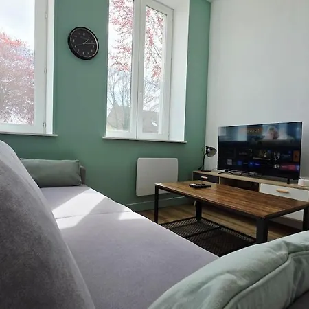 Le Sauge - Centre-ville - Parking Prive Gratuit - Jardin Apartment