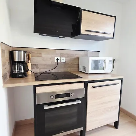 Le Sauge - Centre-ville - Parking Prive Gratuit - Jardin Apartment