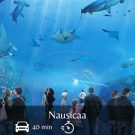 Le Sauge - Centre-ville - Parking Prive Gratuit - Jardin Apartment *